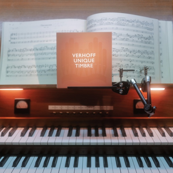 Подарочный набор шоколадных конфет «Уникальный тембр» ассорти купить в интернет-магазине VERHOFF