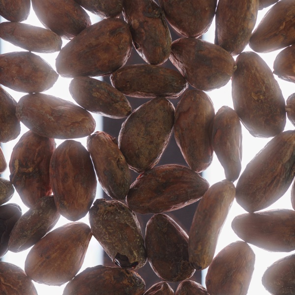 Обжаренные какао-бобы Боливия Вайлд Бениано купить в интернет-магазине VERHOFF