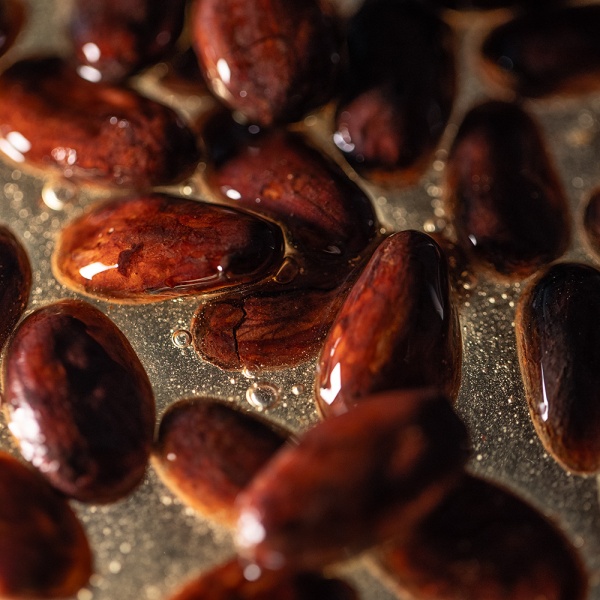 Обжаренные какао-бобы в меду купить в интернет-магазине VERHOFF