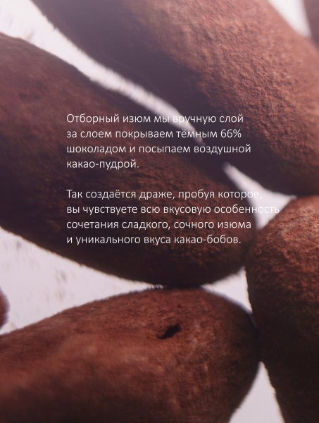 Драже изюм в шоколаде купить в интернет-магазине VERHOFF